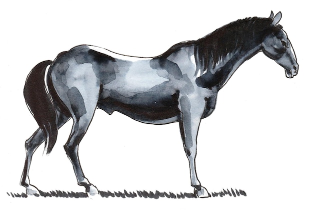 Cavalo em pé. Desenho a tinta e aguarela