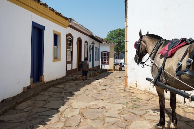 Cavalo marrom do lado direito da foto em uma rua antiga