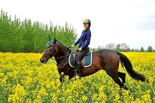 Cavalo puro-sangue com um cavaleiro em um campo de colza