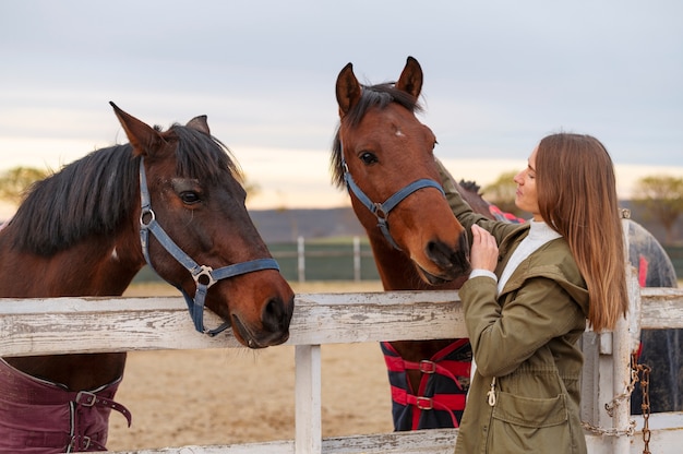 Foto cavalos crescendo no estilo de vida rural