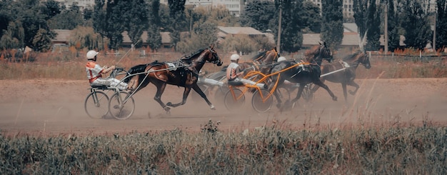 Foto cavalos de raças de trote cavalos e cavaleiros cartazes sobre o tema equestre no processamento artístico