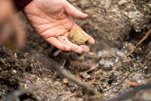 Cavando pedras preciosas e metais na austrália