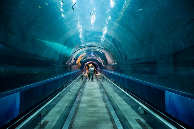 Caverna de túnel de tanque de vidro e passarela na escada rolante para viajantes tailandeses que viajam, visitam e aprendem a observar a vida marinha dos animais aquáticos na construção do Aquário Marinho e da Ciência em Chonburi, Tailândia