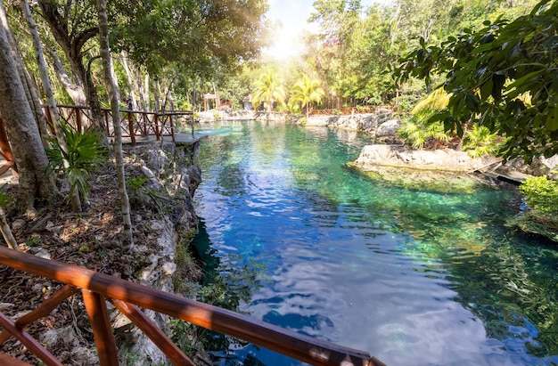 Cavernas e piscinas de destino turístico do México do Cenote Casa Tortuga perto de Tulum e Playa Del Carmen