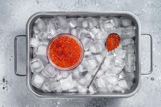 Caviar rojo salmón en tarro de cristal de pie en bandeja con cubitos de hielo. fondo gris. Vista superior.