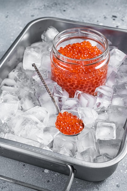 Caviar rojo salmón en tarro de cristal de pie en bandeja con cubitos de hielo Fondo gris Vista superior