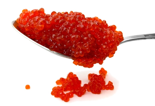 caviar rojo