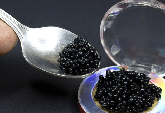 Caviar substitui ovas pretas em uma colher