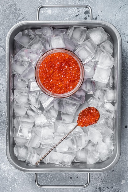 Caviar vermelho de salmão em frasco de vidro em pé na bandeja com cubos de gelo fundo cinza vista superior