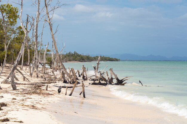 Cayo Levisa, Cuba