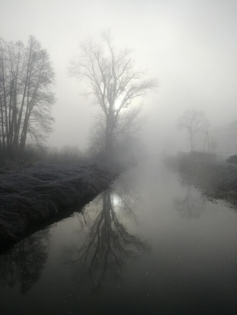 Foto caza en la niebla