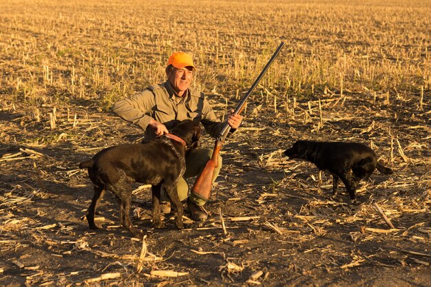 Cazador de faisanes con un arma y perros en el contexto de una espectacular puesta de sol