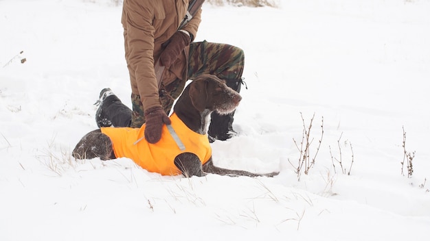 Cazador masculino mira a su perro de caza cansado después de una cacería