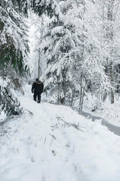 Cazador masculino con su rifle en el bosque en invierno. La caza y el tiro se han practicado durante muchos siglos. Uno de los objetivos es controlar la población animal en la vida salvaje.