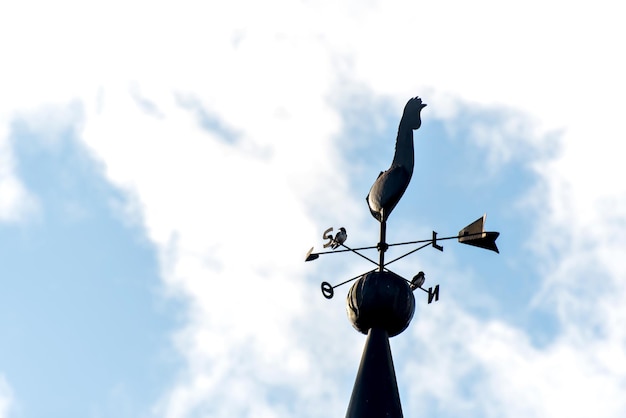 Cazador de viento con detalle de gallo con cielo azul de fondo