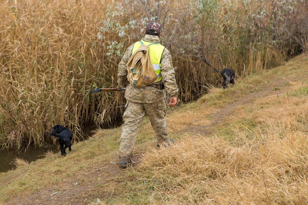 Cazadores con drathaar alemán y spaniel, caza de palomas con perros con chalecos reflectantes