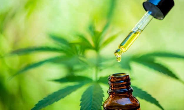 CBD Hanföl, Tropf, Biomedizin und Ökologie, Hanfpflanze, Kräuter, Medizin, CBD-Öl aus medizinischer Extraktion