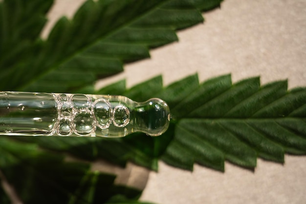 CBD-Öl Hanfprodukte Glasflasche mit CBD-Öl Hanfblättern Medizinisches Cannabis mit Extraktöl Kosmetik CBD-Öl