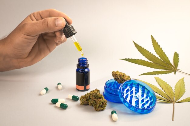 CBD-Ölkapseln und Hanfknospen auf weißem Hintergrund Bio- und Naturkosmetik auf Hanfbasis