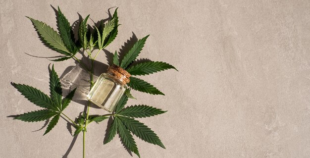 Foto cbd-öl hanfprodukte glasflasche mit cbd-öl hanfblättern medizinisches cannabis mit extraktöl kosmetik cbd-öl