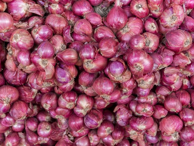 Foto cebola e alho no mercado.