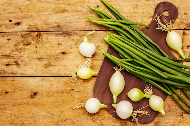 Cebola jovem fresca e seus verdes. ingrediente tradicional para cozinhar