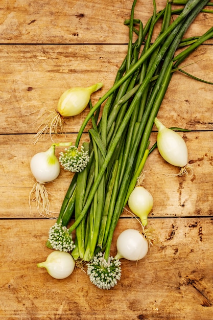 Foto cebola jovem fresca e seus verdes. ingrediente tradicional para cozinhar