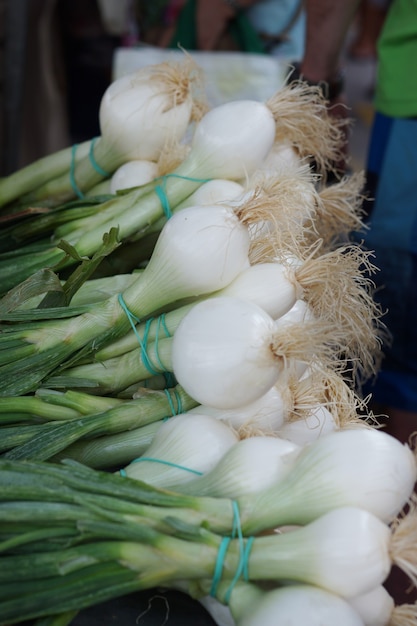 Cebola verde e raízes no balcão no mercado de vegetais