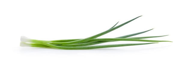 Foto cebola verde isolada em fundo branco