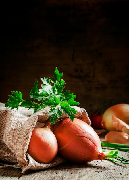 Cebolas amarelas germinadas em um saco de estopa cebolinha penas salsa no fundo de madeira velho em estilo rústico foco seletivo de imagem em tons escuros