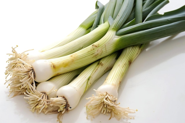 Cebolas verdes sobre um fundo branco Vegetais Ingredientes alimentares