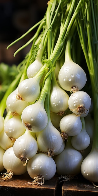 Cebolla blanca recién cortada