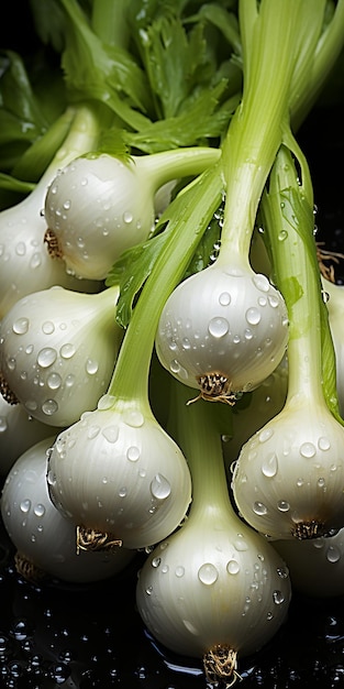 Cebolla blanca recién cortada