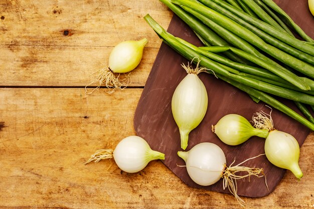 Cebolla fresca joven y sus verdes. Ingrediente tradicional para cocinar