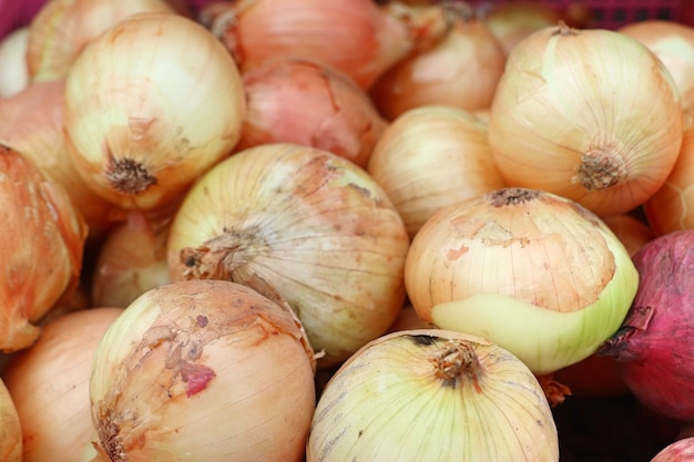 Cebolla en el mercado