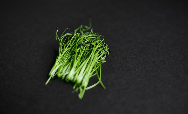 La cebolla de micro hilos de plantas verdes frescas crece sobre un fondo negro Súper comida Espacio para texto