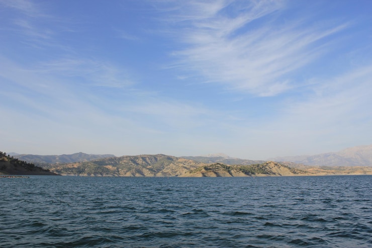 cebolla de paisaje acuático marino