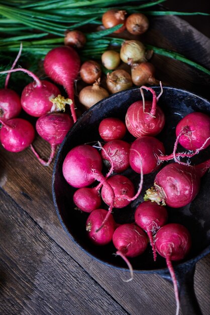 Cebolla, rábanos rojos y cebollas verdes