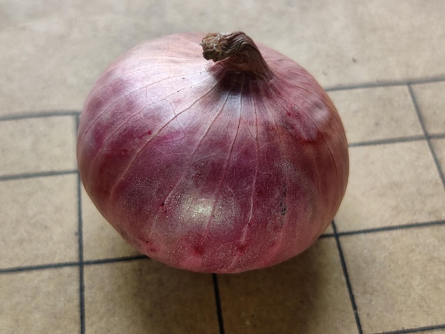 Una cebolla roja sobre una mesa con la palabra cebolla