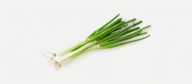 Foto cebolla verde aislada contra un telón de fondo blanco