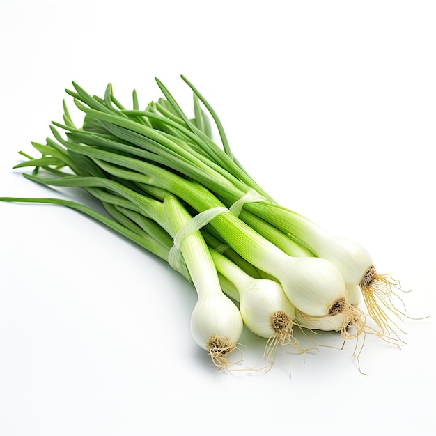 cebolla verde aislada sobre el fondo blanco