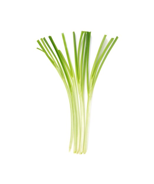 cebolla verde aislada sobre el fondo blanco