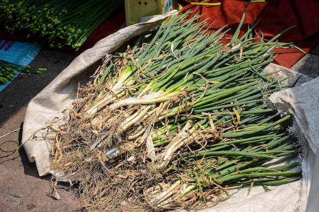 Cebolla verde en el mercado