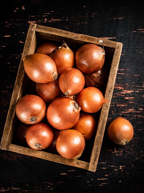 Cebollas en una caja de madera