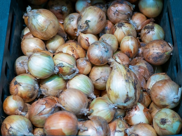 Foto cebollas en una caja de plástico en una tienda