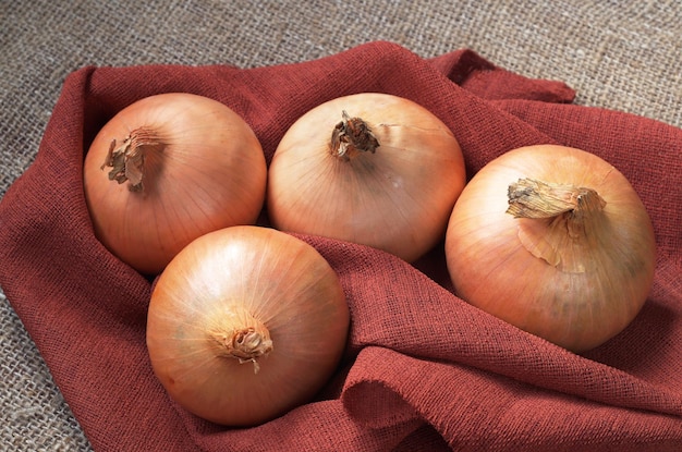 Cebollas enteras sobre fondo de tela closeup