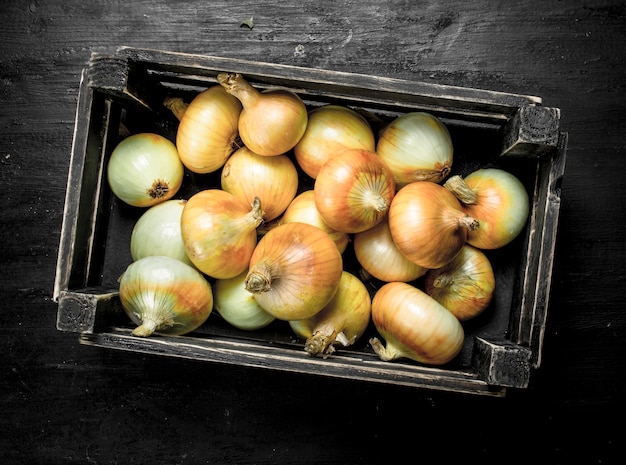 Cebollas frescas en una caja vieja. En la pizarra negra.