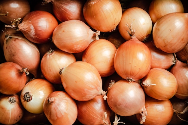 Cebollas frescas en un fondo rústico