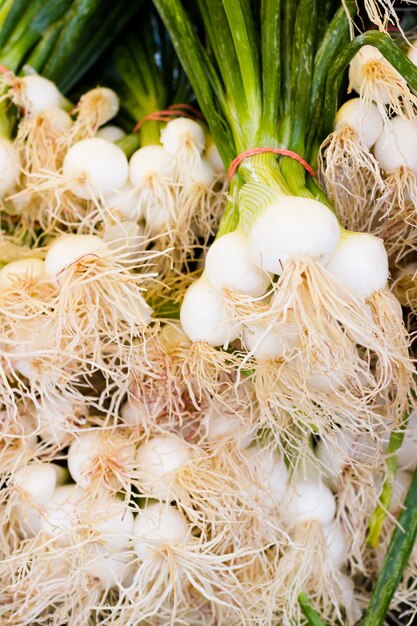 Cebollas frescas en una gran pila en el mercado de agricultores local.