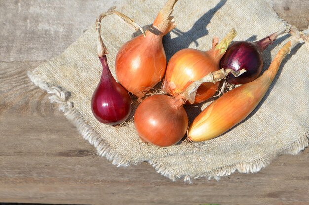 Cebollas frescas en mesa de madera rústica